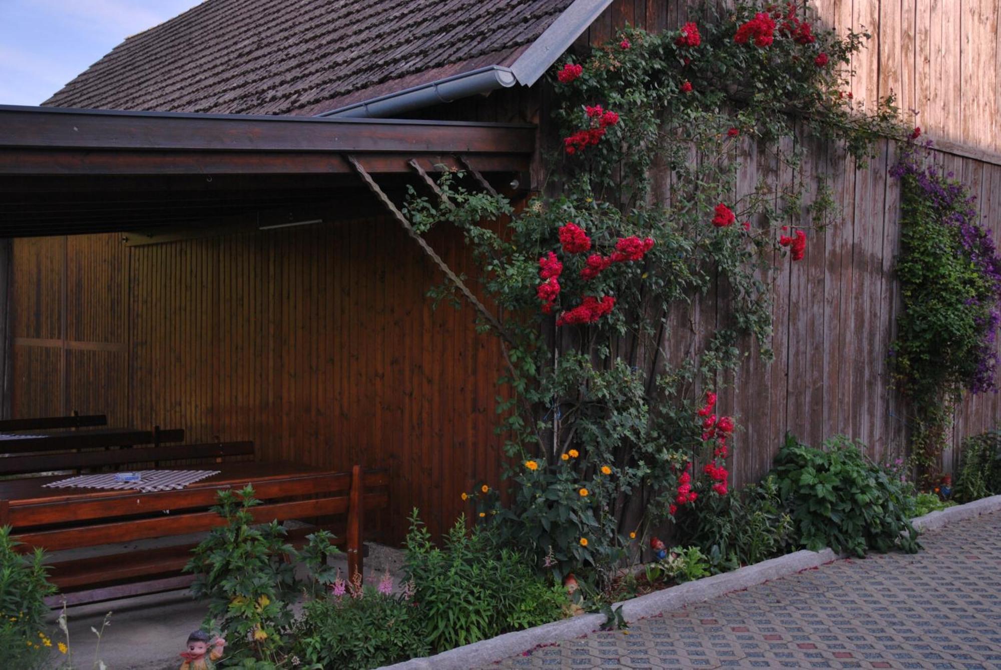 Gasthof Hotel Lang Rauchwart im Burgenland Exteriör bild